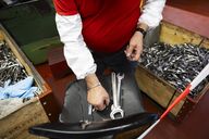 Konjunktur Schweiz: Konjunktur-Frühindikatoren ohne klare Richtung