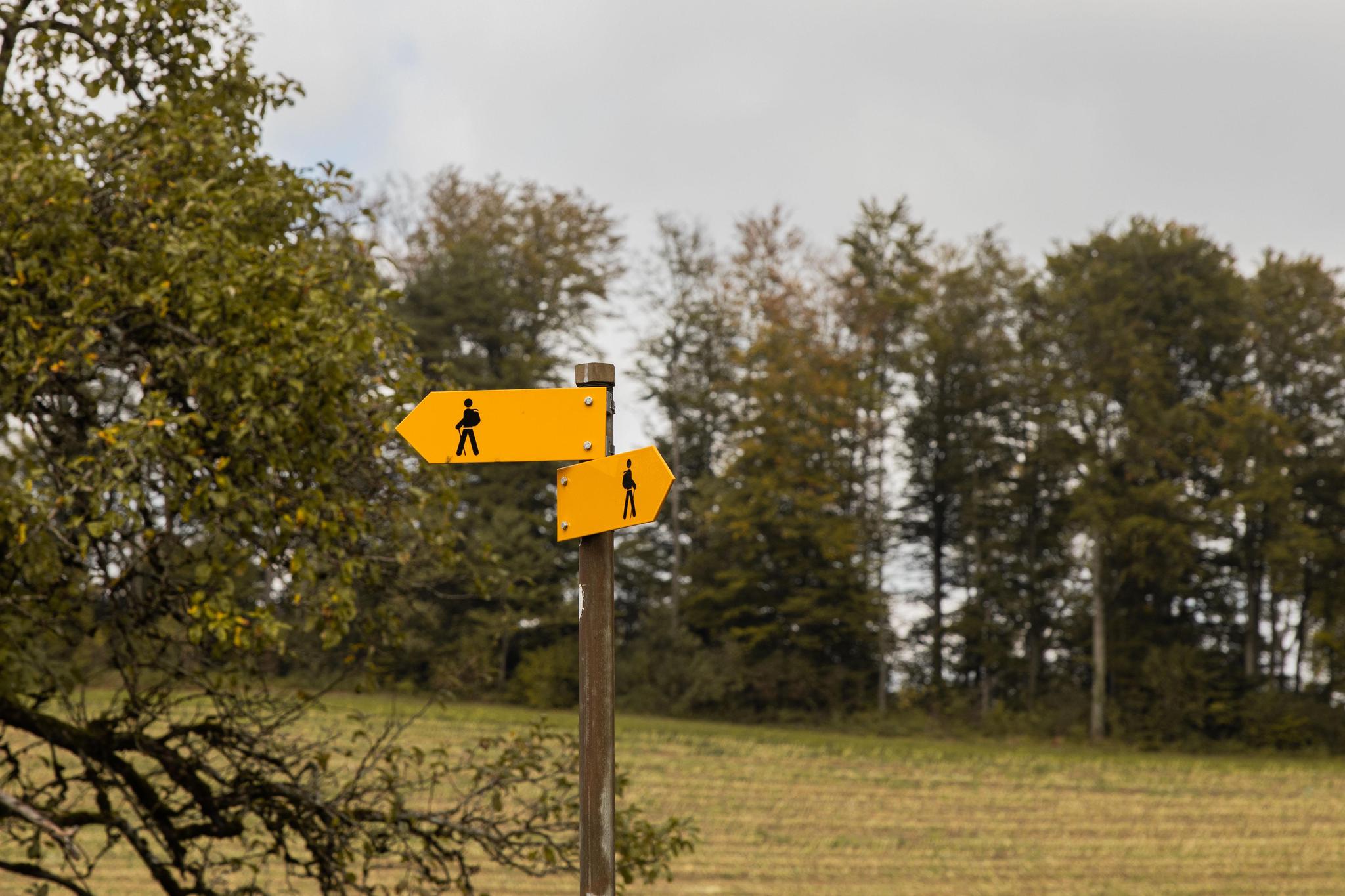 Eine Zürcher Herbstwanderung: Der höchste Punkt dieser Tour, der Schauenberg, bietet ohne Dunst einen formidablen Rundblick.