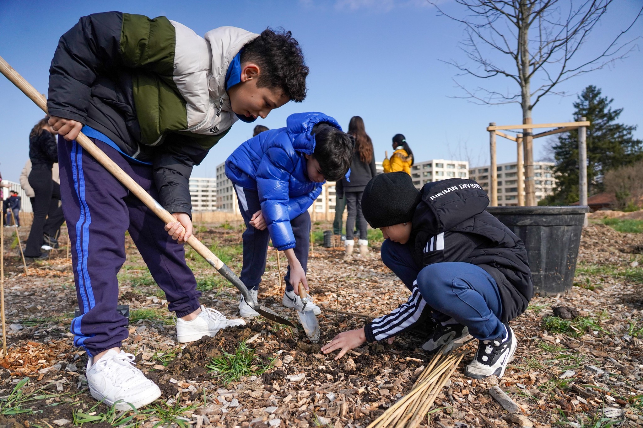 La méthode «Miyawaki» préconise de planter trois arbres par mètre carré.
