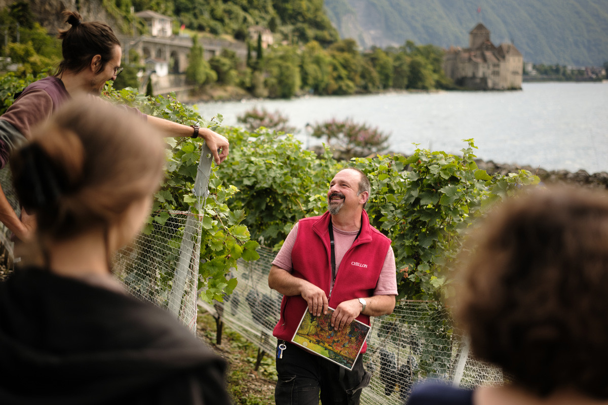 Un groupe de personnes discute dans un vignoble au bord d'un lac avec un château en arrière-plan.