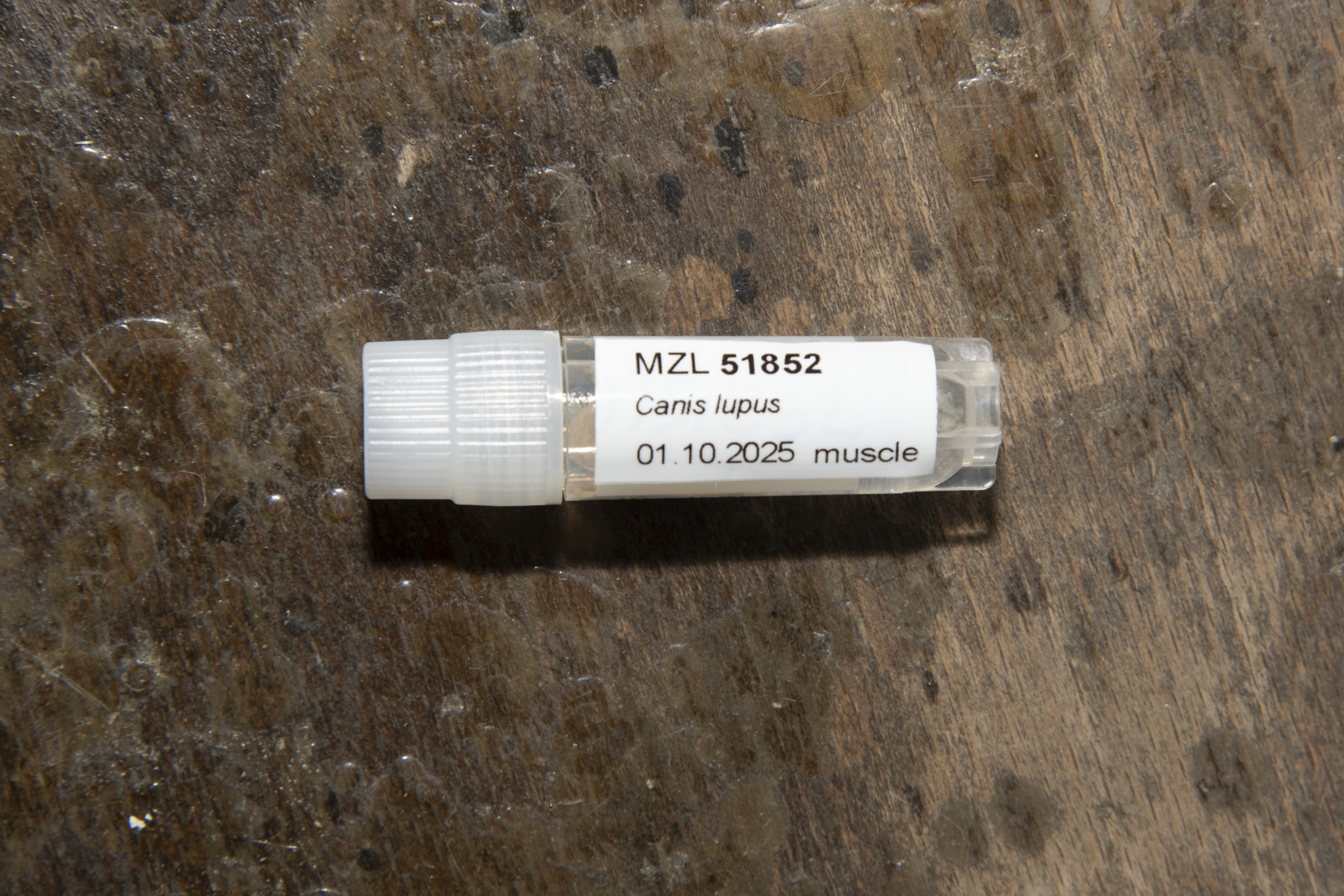 Une première en Suisse: ADN, tissus, sang: la «biobanque» du Naturéum devient une référence