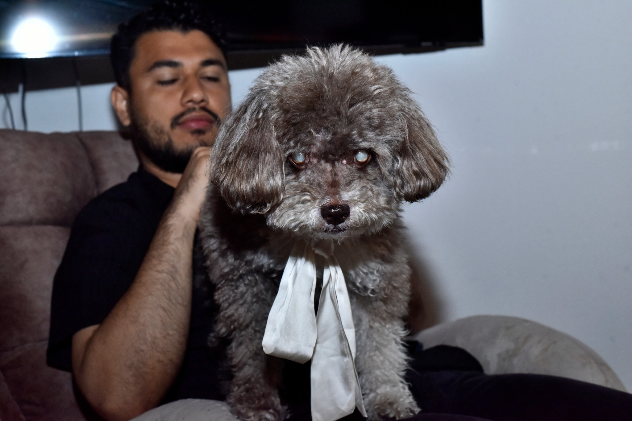 Séisme en Colombie: Une femme est morte pour sauver son chien du tremblement de terre