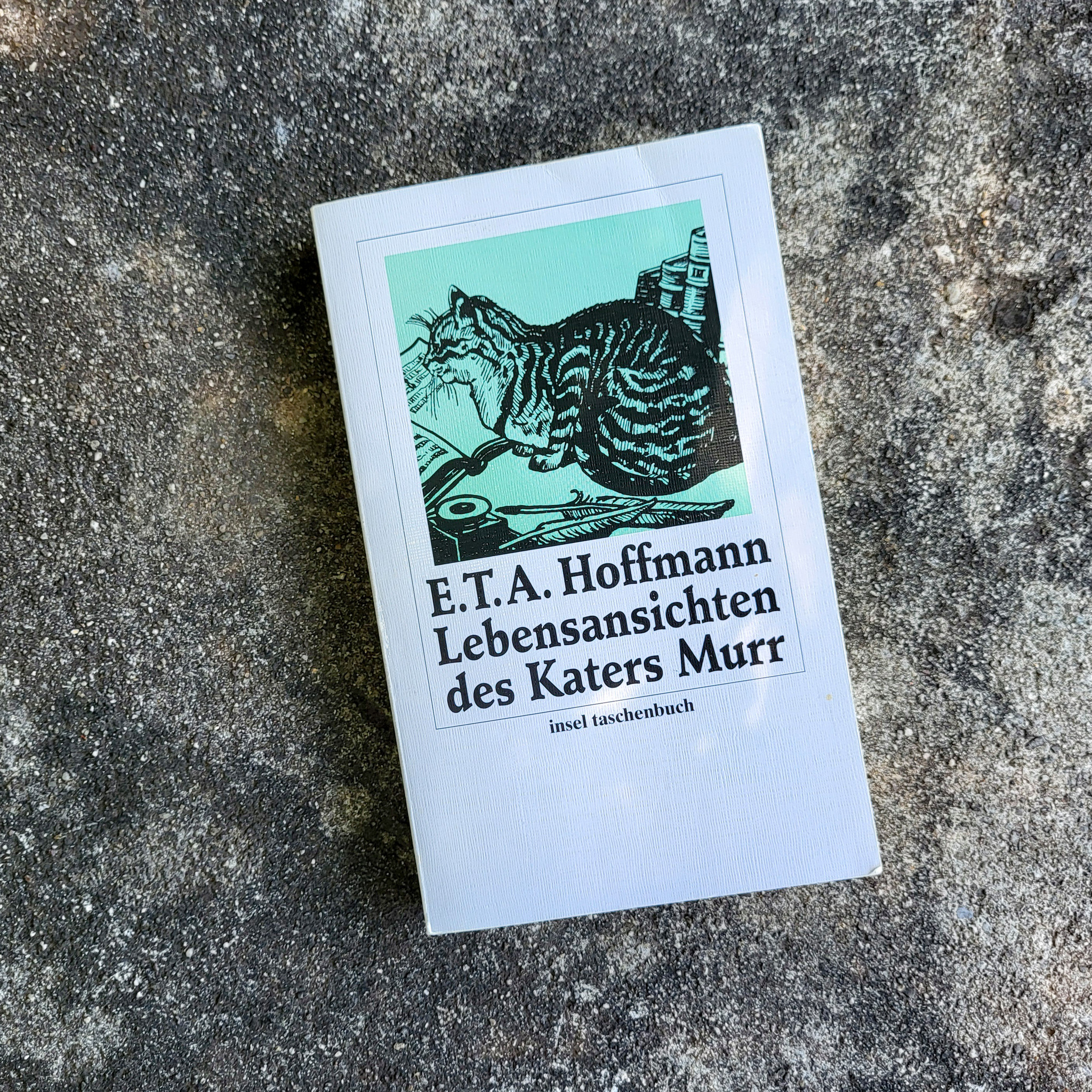 Taschenbuch «Lebensansichten des Katers Murr» von E.T.A. Hoffmann, Insel Taschenbuch, mit Katzenillustration auf dem Cover.