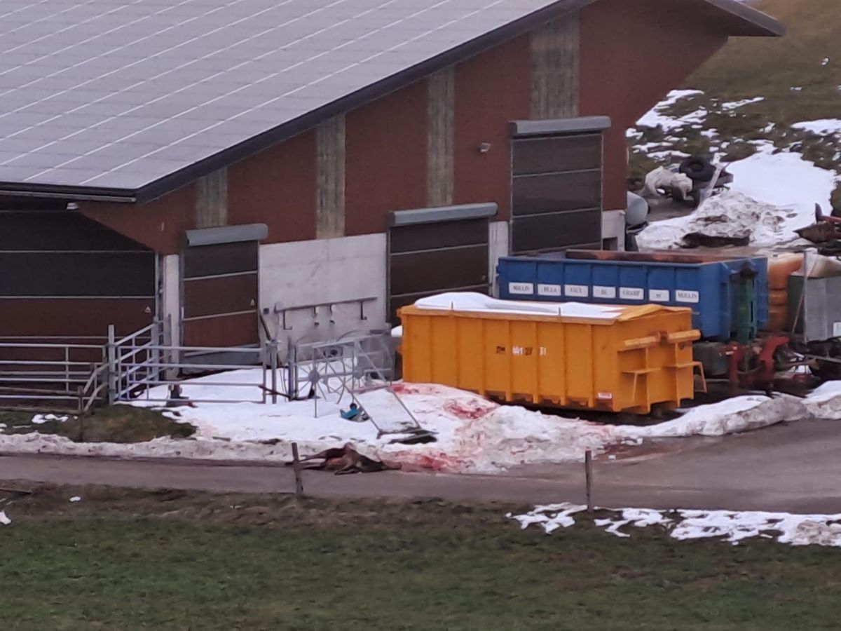 C’est aux abords de cette ferme que la carcasse a été retrouvée.