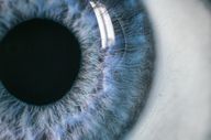 Halbjahreszahlen: Alcon wächst im zweiten Quartal weiter und erhöht Gewinnziele