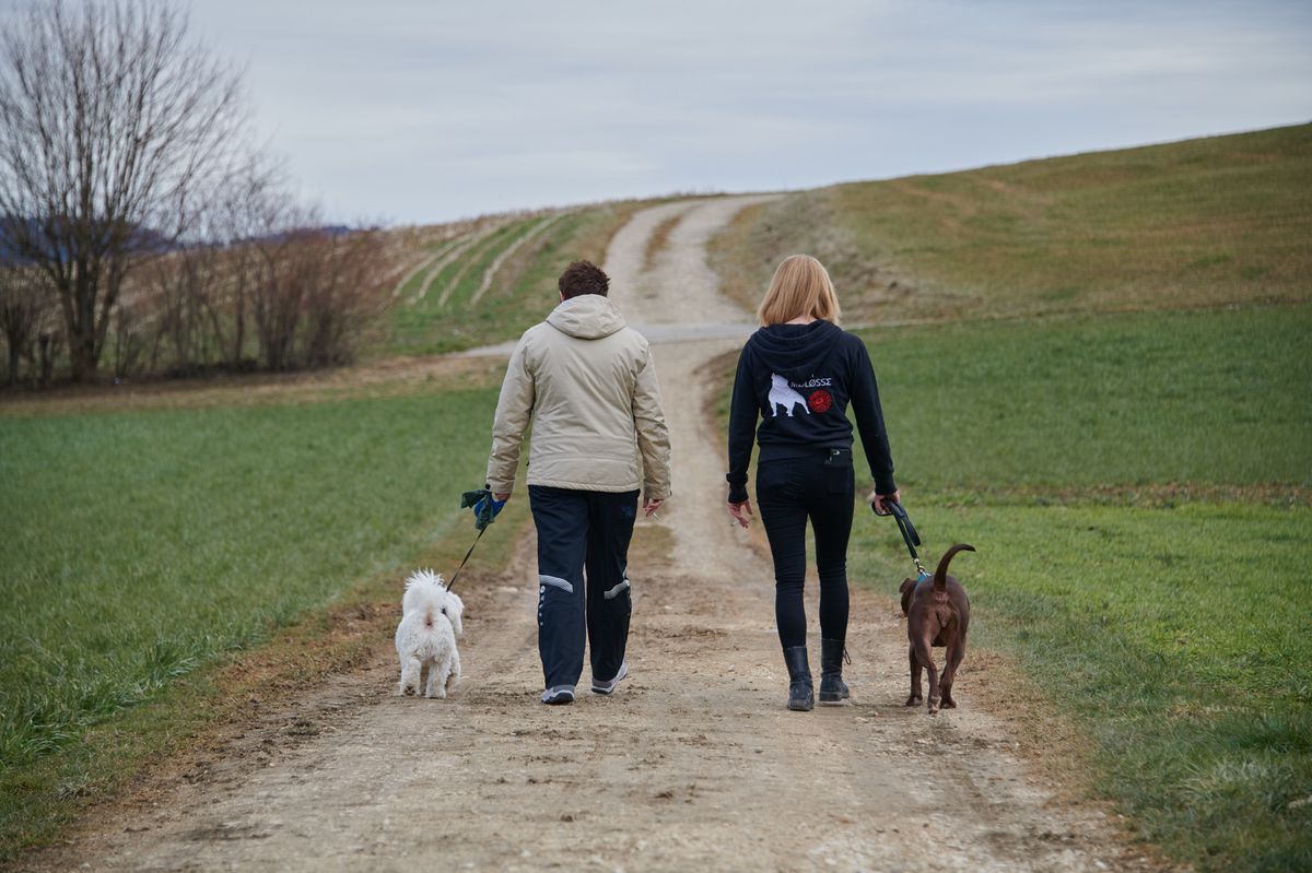 Courtetelle, le 09.03.18 --- Kiara, le pitbull de Tamara Spahni (en noir) a ete empoisonne par de la mort aux rats dissimulee dans des boulettes de viande que le chien a mange en promenade. En veste gris clair, Martine Comte et son coton de Tulear prenomme Jeko, une autre promeneuse presente le jour de l'incident. PHOTO LAURENT CROTTET, LE MATIN 2018...