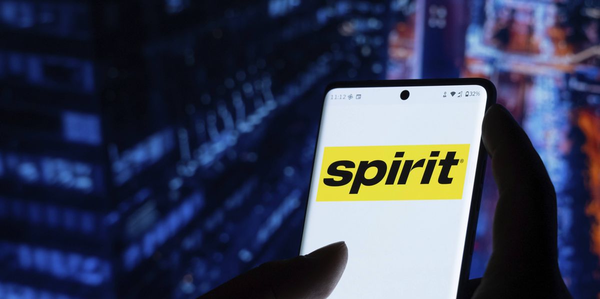 Google buys Spirit Airlines data for AI training