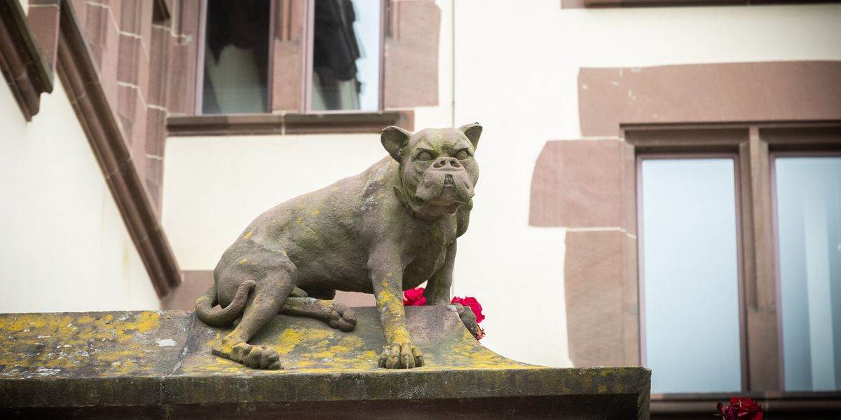 BaZ-Sommerr-tsel-mit-minu-Nummer-25-Die-Bulldogge-die-ber-Basel-wacht