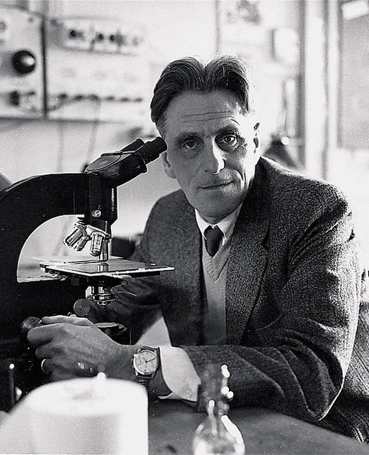 Ein Leben so verrückt wie aus einem Roman Berner Oberländer