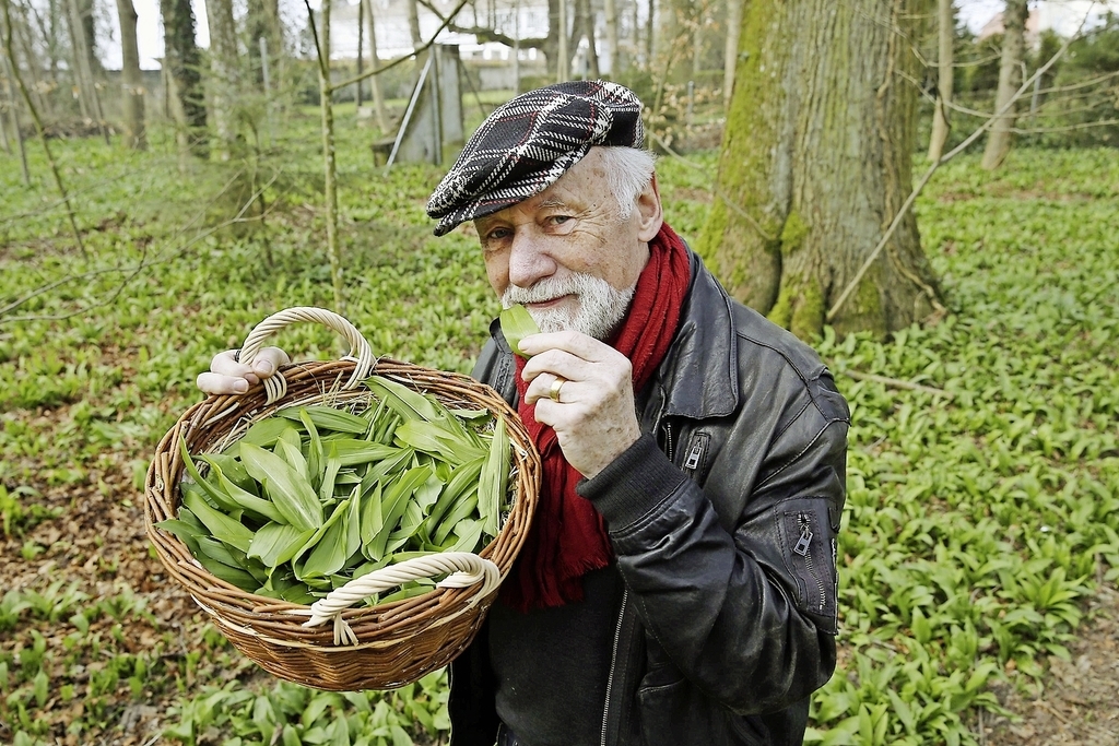 Mit «Chrüteroski» auf Bärlauchjagd