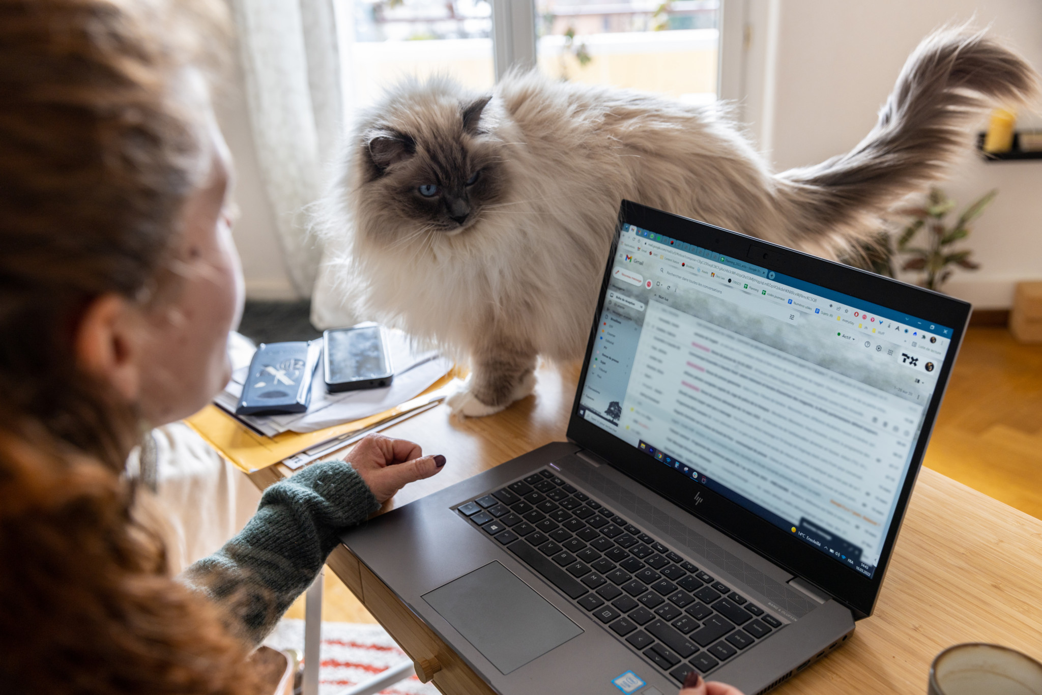 27-Millionen-Projekt des Bundes: Kantone lehnen digitale AHV ab – droht nun das nächste IT-Debakel beim Bund?