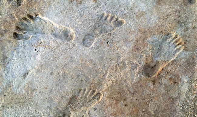 Diese Fussabdrücke, die im US-Bundesstaat New Mexico entdeckt wurden, könnten rund 22’000 Jahre alt sein.