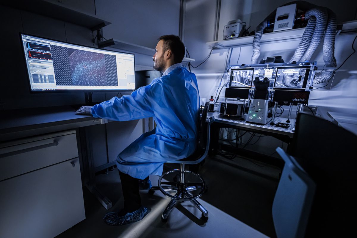 Theo Ribierre, coordinateur scientifique, realise des images de neurones au moyen d'un micropscope confocal, a l'occasion de l'inauguration de la plateforme "NeuroNA" de neurosciences cellulaires humaines, ce lundi 24 avril 2024 au Campus Biotech a Geneve. La plateforme vise a contribuer à l?etude des mecanismes moleculaires et cellulaires impliques dans des troubles neurodeveloppementaux comme ceux du spectre de l?autisme ou encore a des maladies neuropsychiatriques comme la schizophrenie et la depression.(KEYSTONE/Valentin Flauraud)