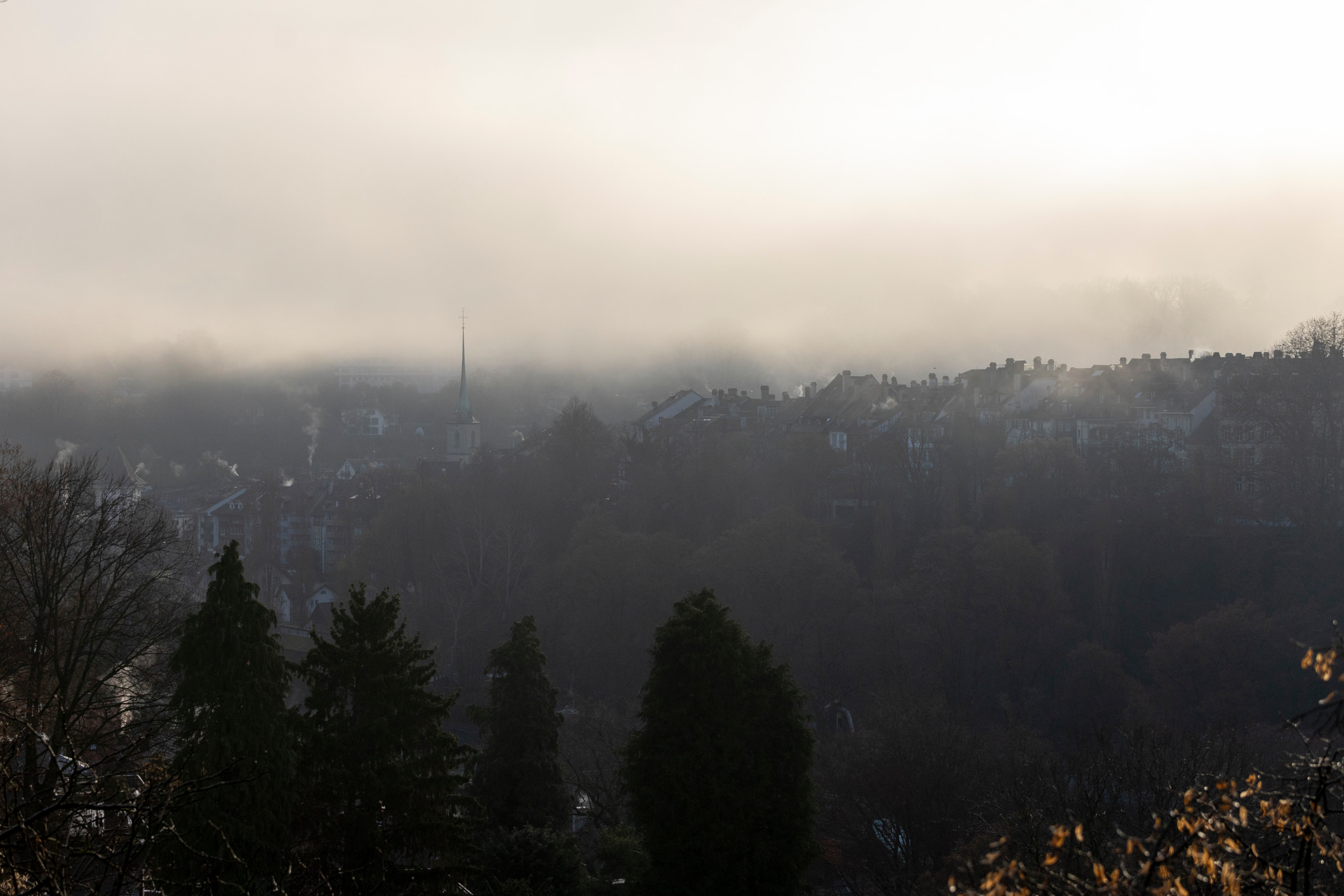Todesfalle Nebel Wie Sie Auserorts Bei Dichtem Nebel Sicher Ankommenfeed