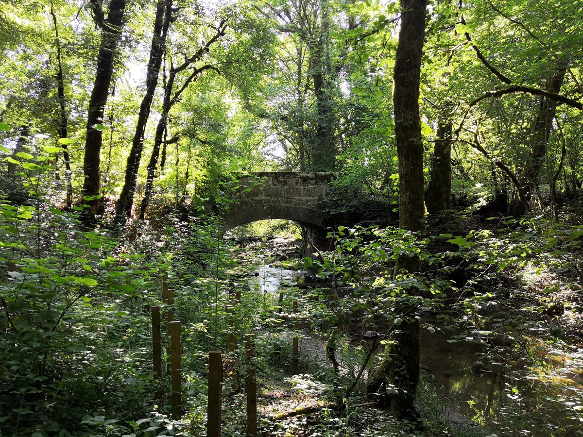 Le petit pont d’Essertines, un bel ouvrage en pierre qui enjambe le Roulave dans sa partie basse.