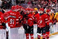 Tim Bozon: «Nous voulons finir la série à Langnau»