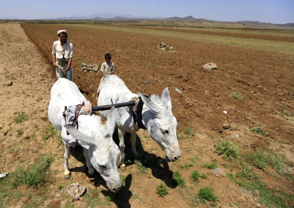 L'envoi d'aide alimentaire au Yémen suspendu