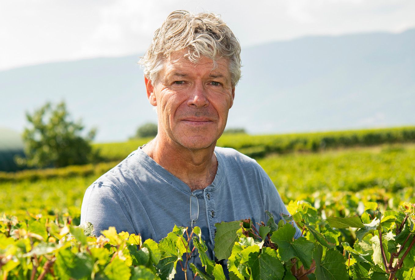 Un homme souriant se tient parmi les vignes dans un vignoble, sous un ciel partiellement nuageux.