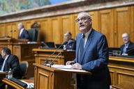 Kompromiss angenommen: Parlament federt Mercosur-Freihandel mit Geld für Landwirtschaft ab