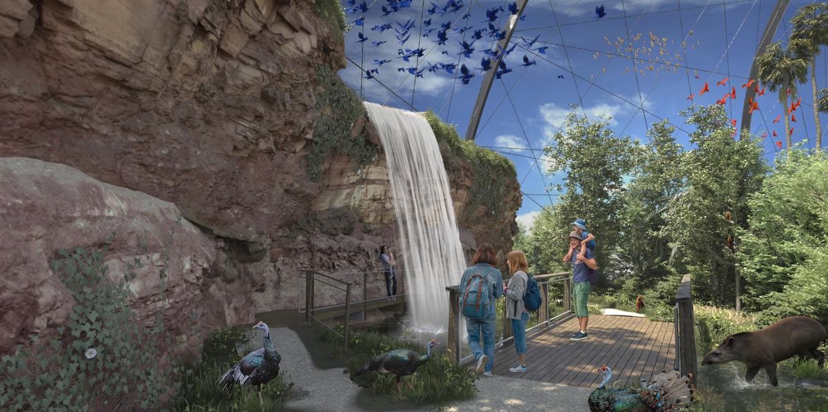 Im Zoo Zürich werden Vögel in Schwärmen fliegen können