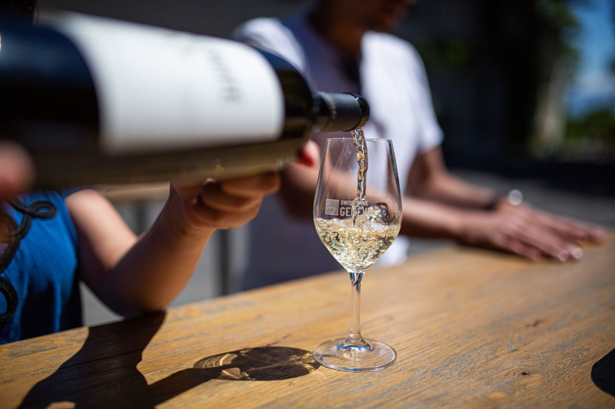 Genève, le 9 juillet 2020.  
Journée caves ouvertes. Cet été, la manifestation se fait tous les samedis. Une occasion de venir déguster et acheter du vins directement auprès des vignerons, comme ici au domaine des Trois Etoiles à Pessy. ©Pierre Albouy/Tribune de Genève