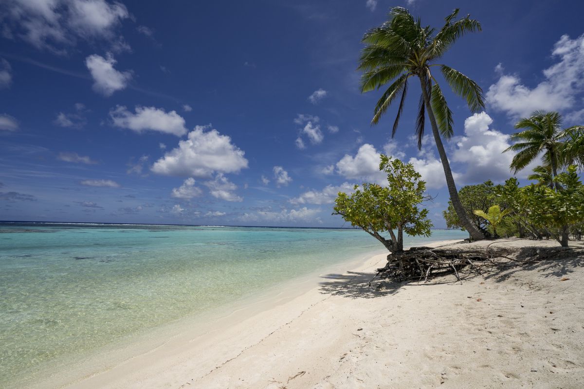 Cet été, priorité à la plage? Ou cap sur la montagne?