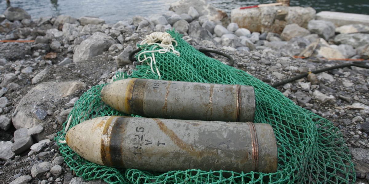 Deux obus reposant sur un filet vert au bord d'un lac avec des montagnes en arrière-plan.