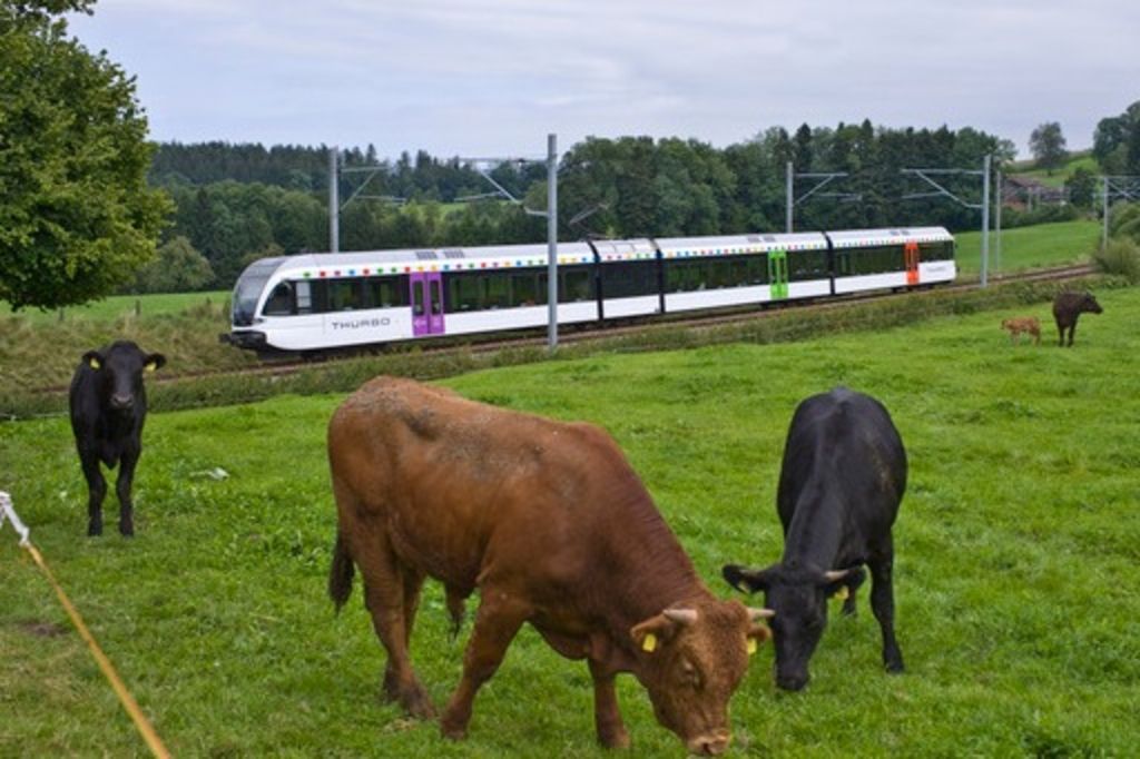 Suisse – Une vache happée par un train près d'Oensingen | Tribune de Genève