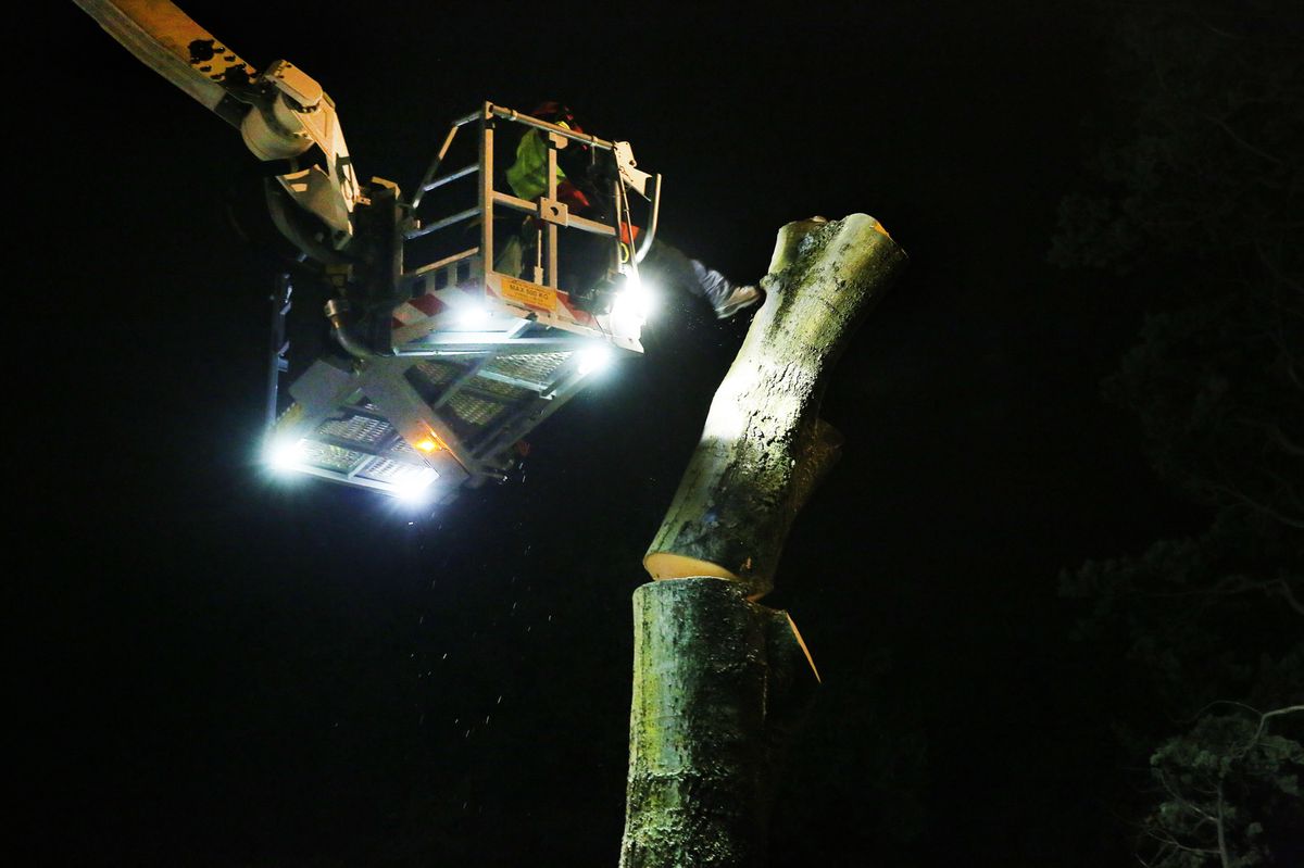 Genève, le 23 septembre 2015. Chantier d'abattage sur la rue de la Croix-Rouge. Six arbres doivent être tronçonnés en urgence. Prenant appui dans la nacelle de l’auto-échelle, un pompier donne le coup de grâce au segment supérieur du tronc. © Magali Girardin.