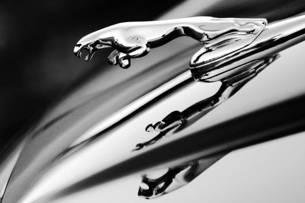 La restauration d'une Jaguar tourne au cauchemar