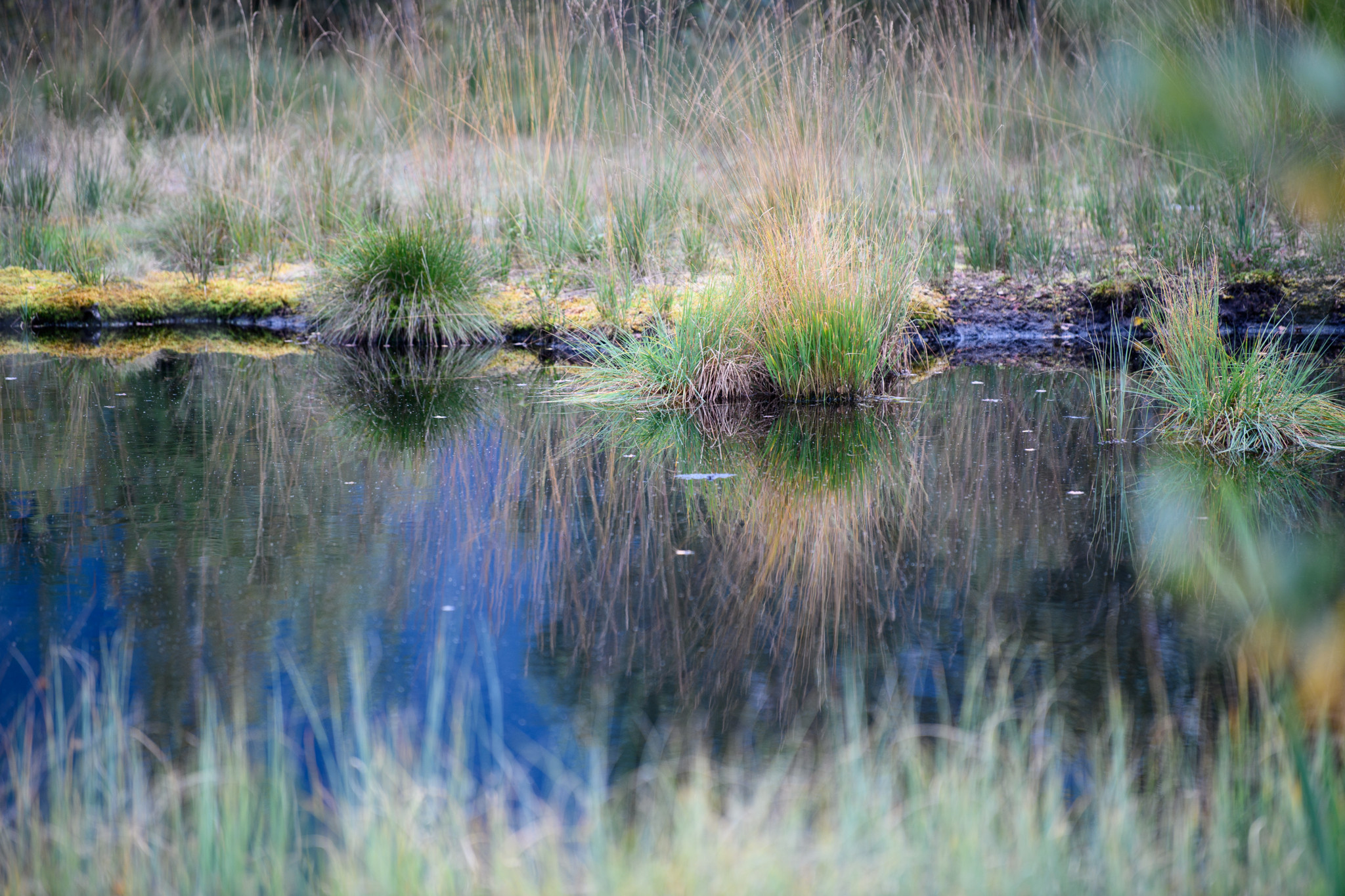 Hochmoor Steinmösli in Eggiwil mit grasbewachsenen Ufern und stillstehendem Wasser. Reflektionen des Himmels sichtbar.
