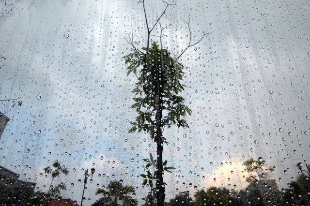 L'eau, un bien précieux qu'il faut protéger.