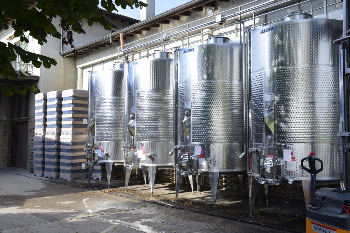 Bonvillars, 30 octobre 2014, présentation de la cave des viticulteurs de Bonvillars rénovée et agrandie. vin, vigne, bouteille. (24heures/Philippe Maeder)