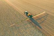 Dünger, Öl und Biotreibstoffe: Essen im Tank statt im Teller