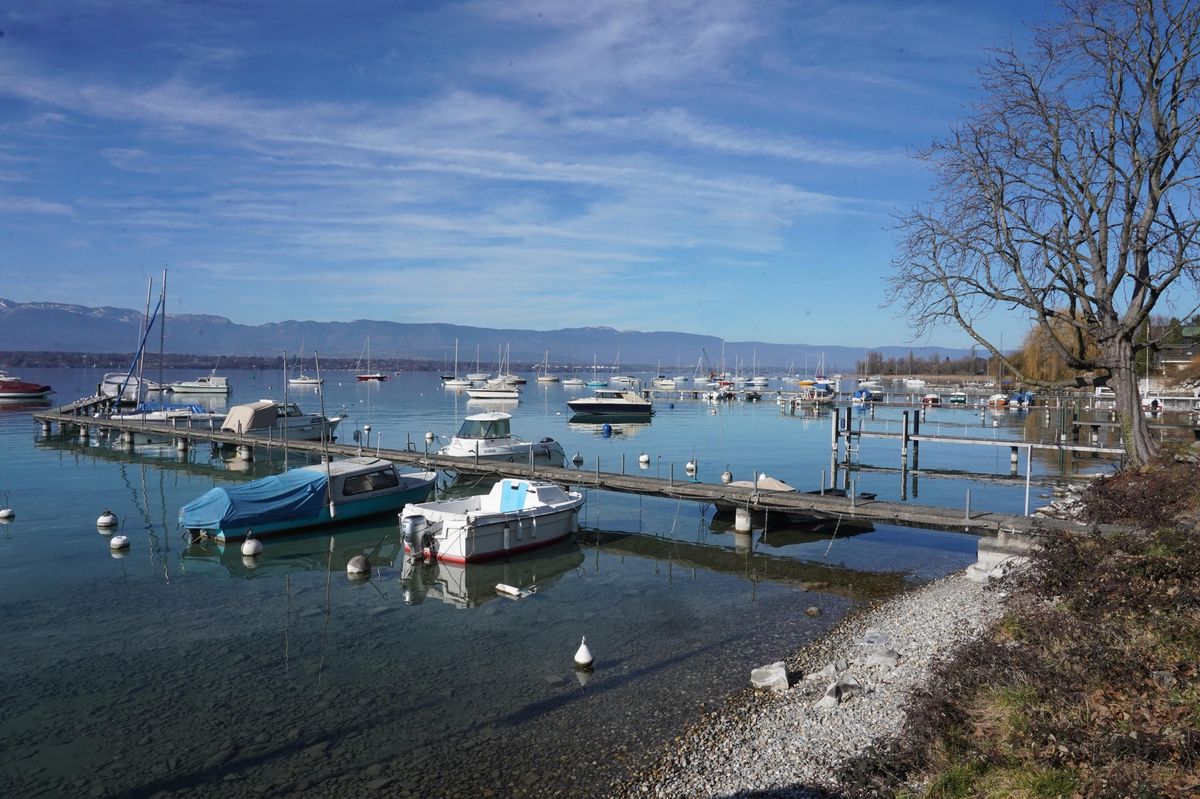 C’est sur ce site à Cologny que la capitainerie est intervenue.