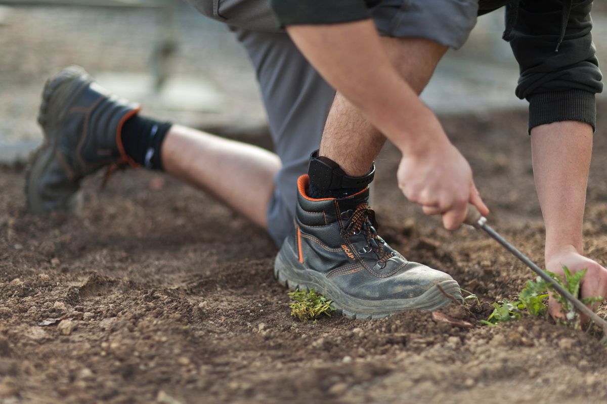 Electronic Monitoring /Ein Mann mit Fussfesseln arbeitet als Gärtner (Symbolbild).