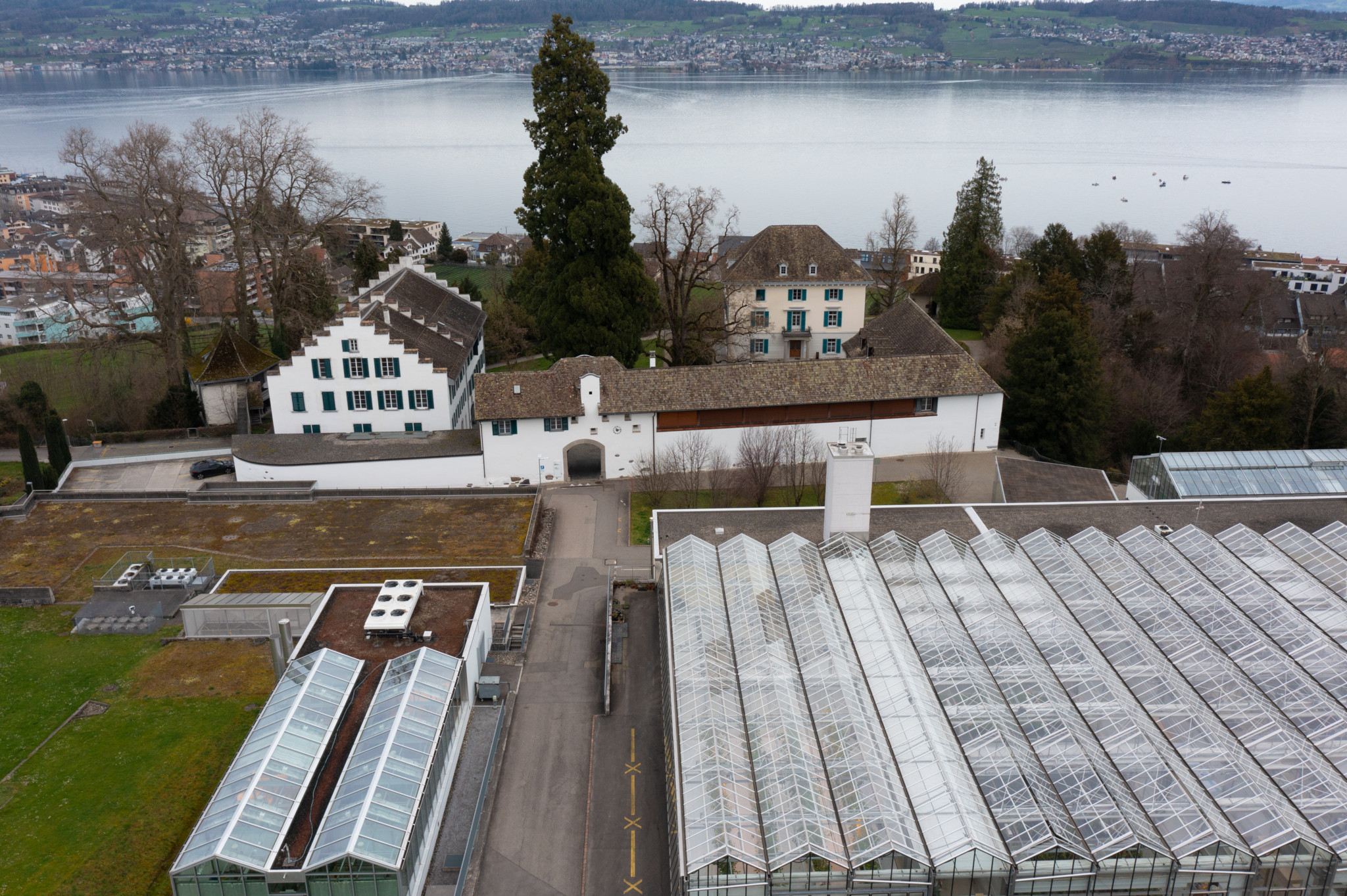 Luftaufnahme des Agroscope-Standorts Wädenswil mit Schloss, Betriebsgebäuden und Gewächshäusern am Zürichsee.