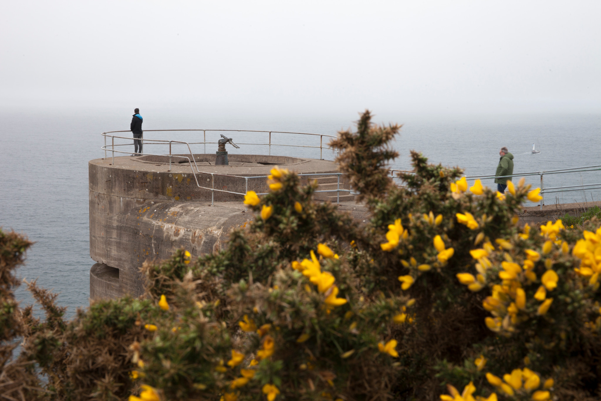 Batterie Lothringen am Noirmont Point. Geschützstellung. Davor Ginster.
