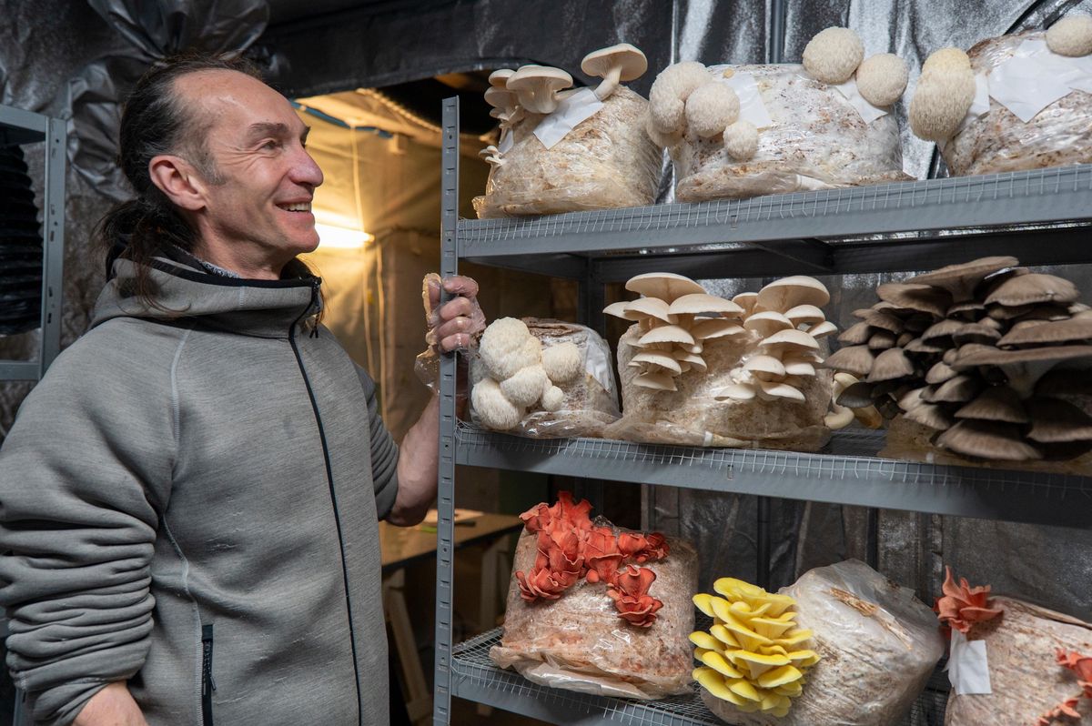 Après un riche parcours académique et des années de voyage, le Lausannois d’origine Juan Carlos Floyd Sarria s’est lancé en autodidacte dans la culture de champignons comestibles.