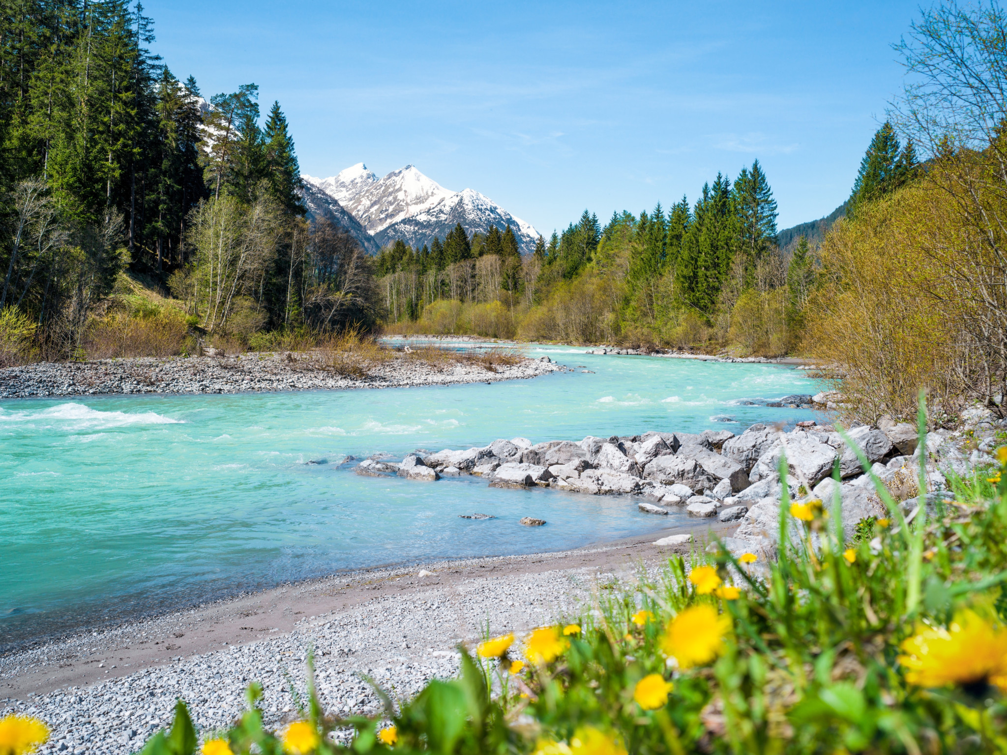 Klarer Gebirgsbach fliesst durch ein alpines Tal mit Nadelwäldern, felsigem Ufer und schneebedeckten Gipfeln im Hintergrund.