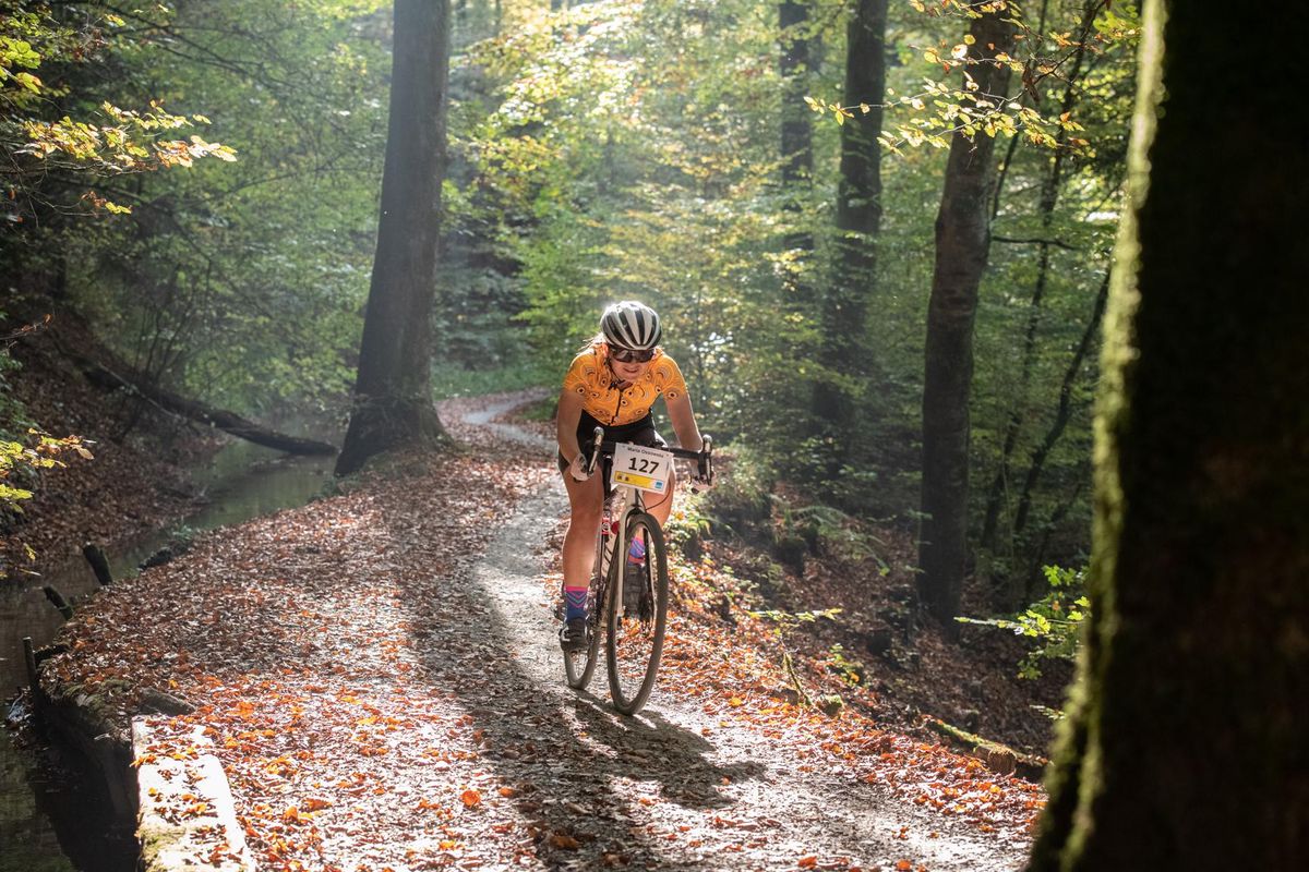 Sur les chemins de forêt, les adeptes du gravel se régalent. 