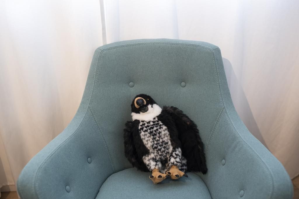 Befragung Von Kindern Ohne Eltern «Fast jedes Kind weint irgendwann bei der Befragung» | Der Landbote