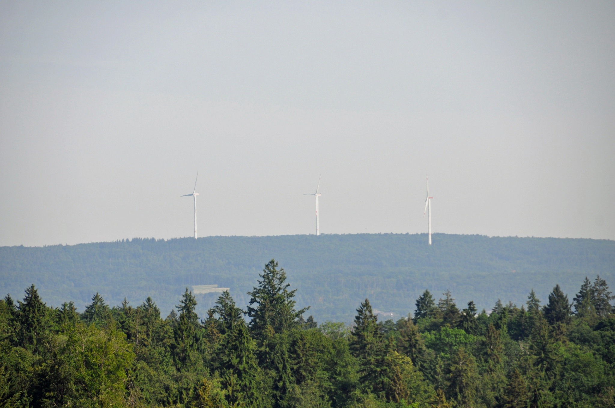 Windräder im Kanton Zürich: «Unsere Wälder zerstör