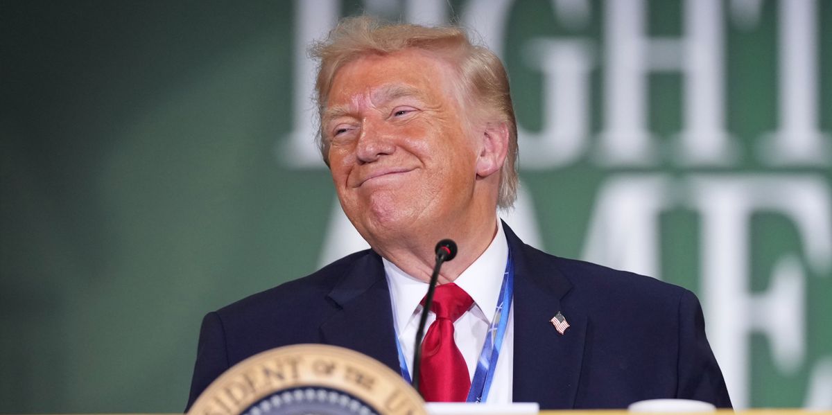 Trump-ignoriert-Gesetze-Gegen-einen-notorischen-Regel-brecher-helfen-keine-neuen-Regeln