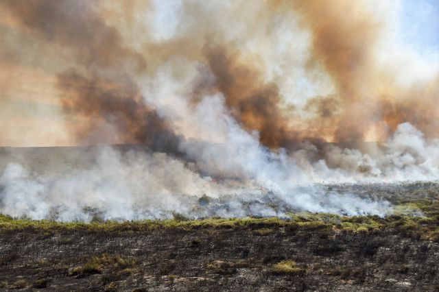 Vue aérienne de l'incendie à La Adela, dans la province de la Pampa (Argentine) le 5 janvier 2017.