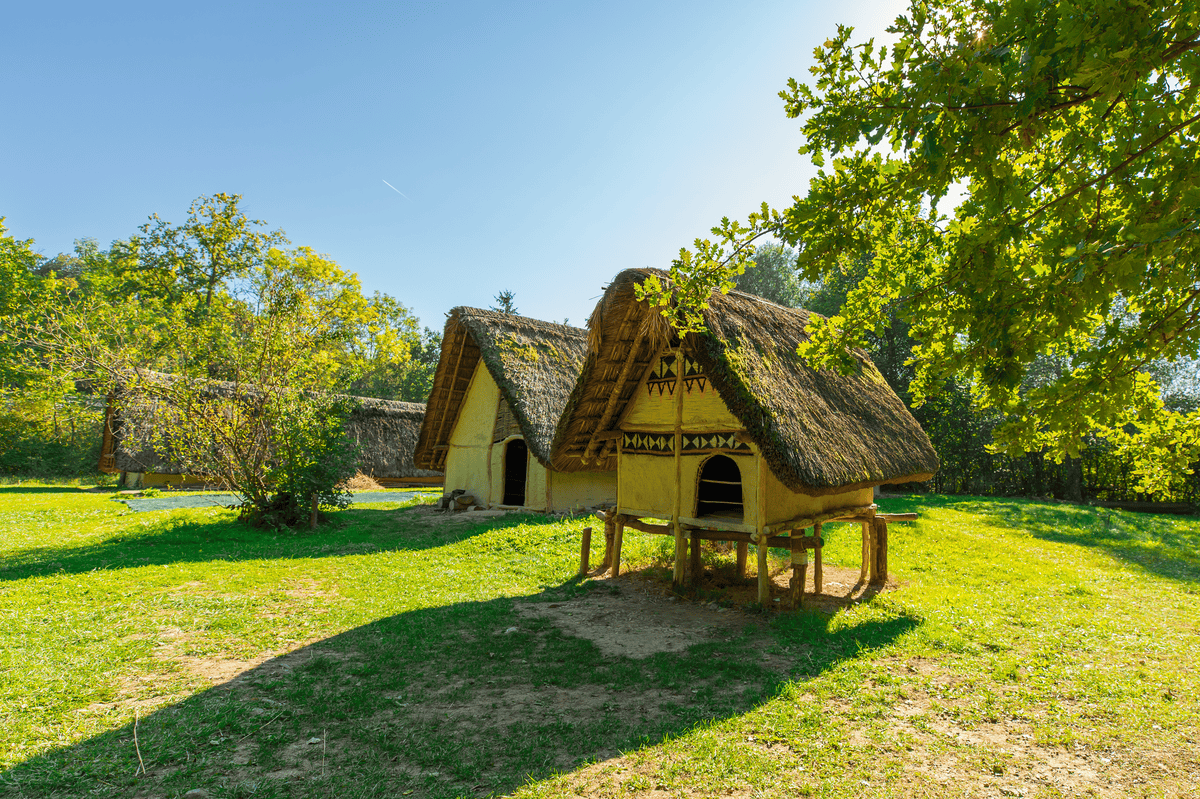 Maisons traditionnelles avec des toits en chaume dans un environnement verdoyant et ensoleillé.