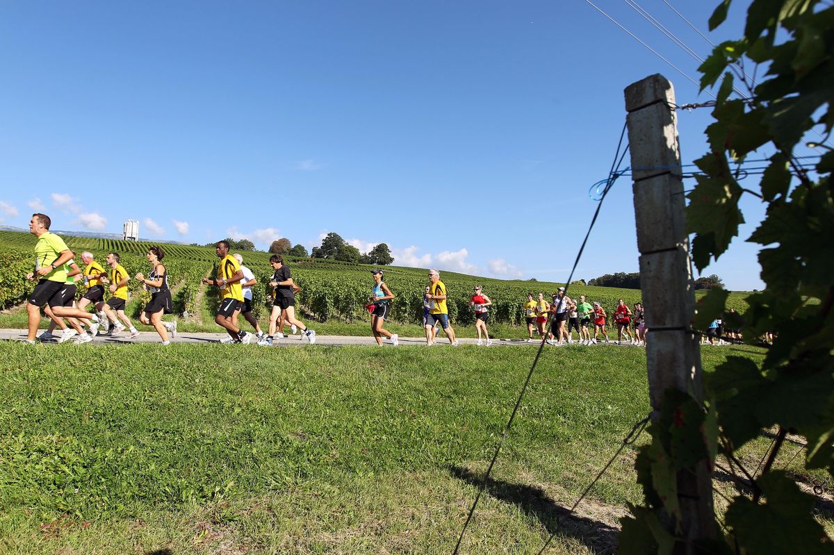 Juste avant les vendanges, un avant-goût des courses de l’automne. Dommage, cette année, l’amertume prime.