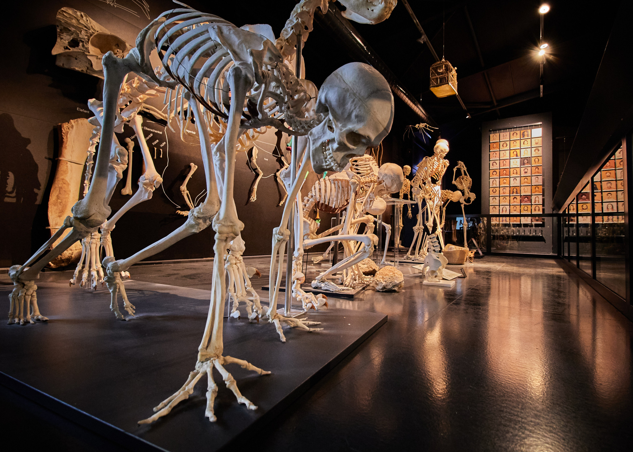 Ferien und Freizeit: Sieben unterschätzte Ausflugsziele um Winterthur