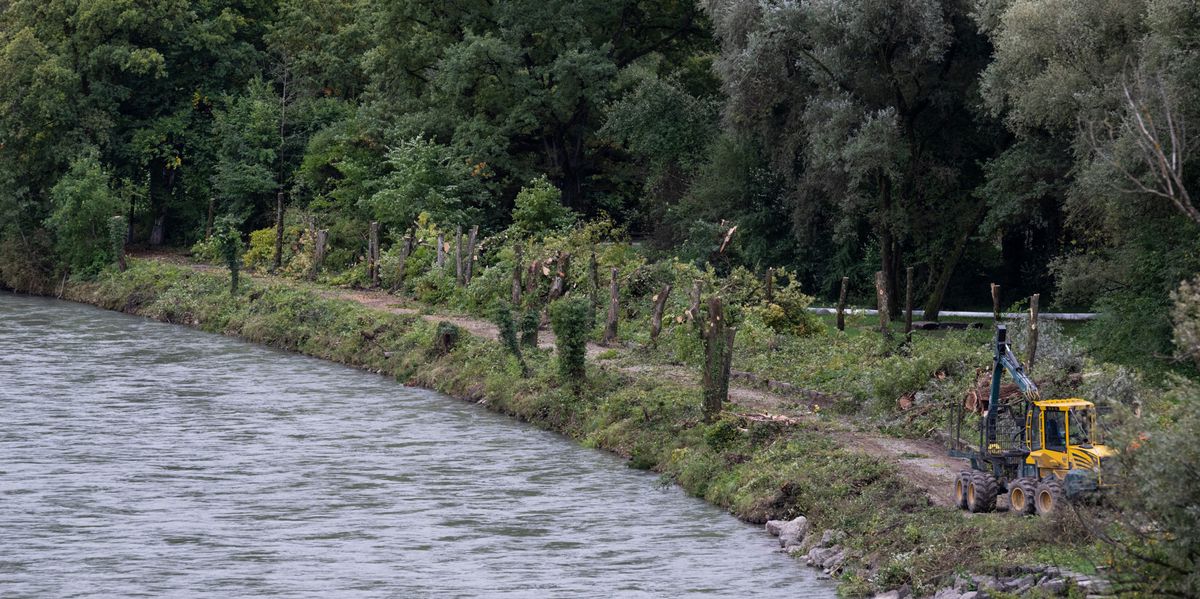 Flood protection Bern: Construction work on the Aare has started