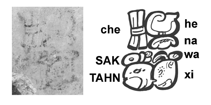 Arch-ologie-So-spricht-Weissbr-stiger-Fuchs-Forscher-entdecken-Namen-eines-Maya-Genies